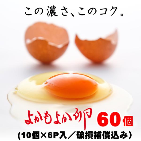 ギフト対応　送料無料　宮崎県都城産「よかもよか卵」55個＋破損補償5個入り　