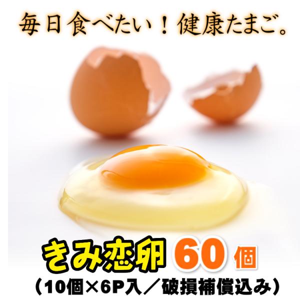 ギフト対応　送料無料　宮崎県産たまご「きみ恋卵」55個＋破損補償5個入り