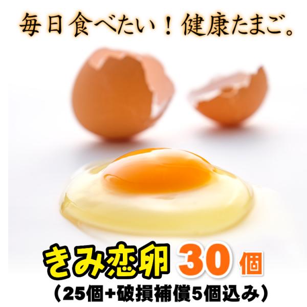 ギフト対応　送料無料　宮崎県産たまご「きみ恋卵」25個+破損補償5個入り　