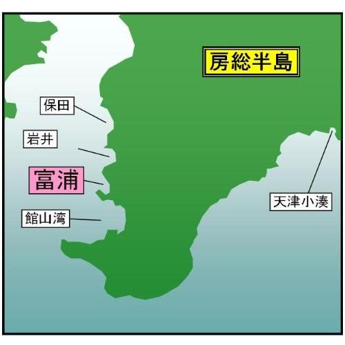 マイ海図  高精細印刷版パウチ加工無し 内房富浦湾７枚組