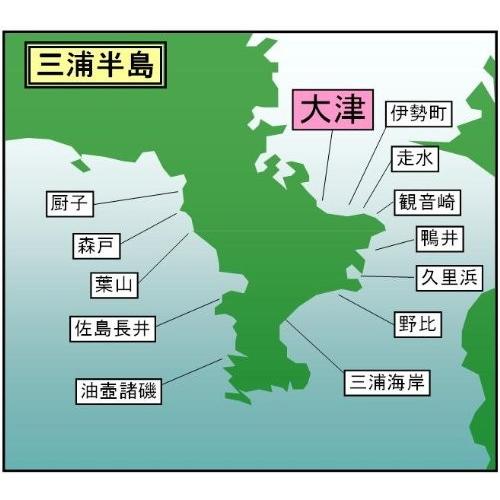 マイ海図 高精細印刷版パウチ加工無し 東京湾　京急大津７枚組