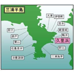 ローランス WP15-12NSE 魚探 電動リール EVAバッグ（黒）付き 高耐久品