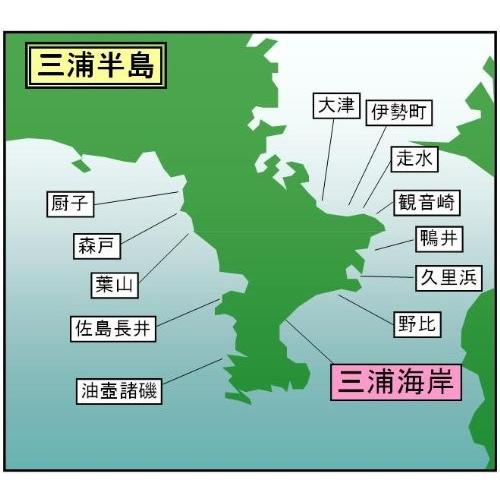 マイ海図 高精細印刷版パウチ加工無し 東京湾三浦海岸７枚組