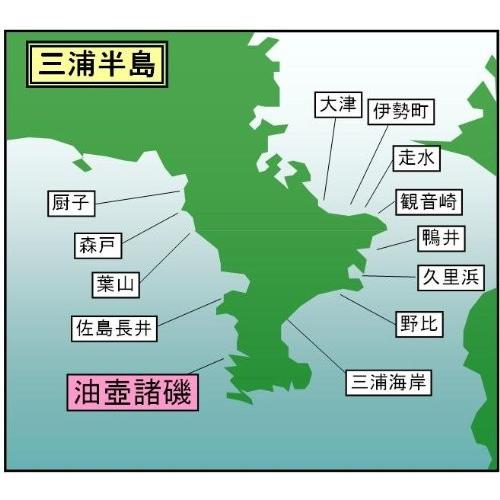 マイ海図 高精細印刷版パウチ加工無し 相模湾油壺・諸磯海岸４枚組