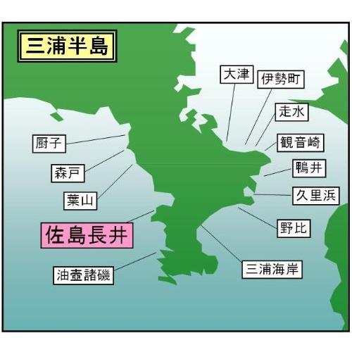 マイ海図 高精細印刷版パウチ加工無し 相模湾長井・佐島港１０枚組
