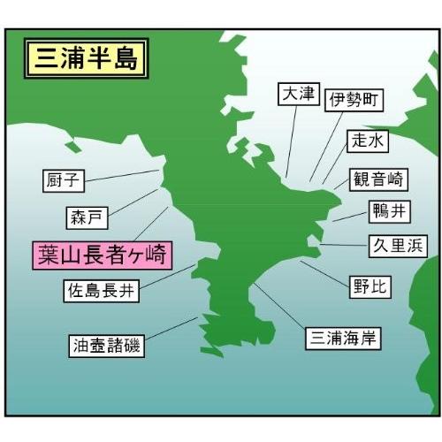 マイ海図 高精細印刷版パウチ加工無し 相模湾 葉山沖長者ヶ崎３枚組