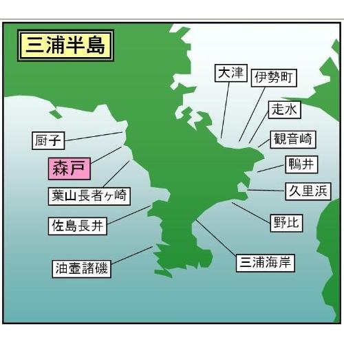 マイ海図 高精細印刷版パウチ加工無し 相模湾 森戸海岸８枚組