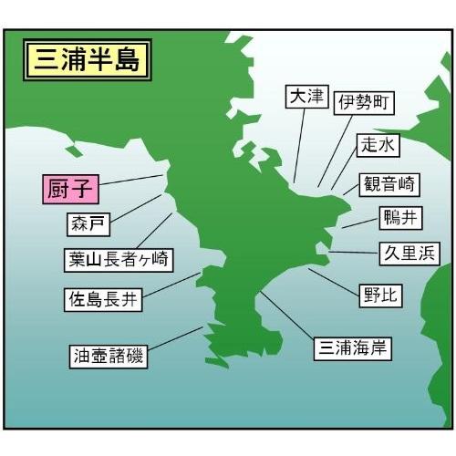 マイ海図 高精細印刷版パウチ加工無し 相模湾 逗子海岸２枚組