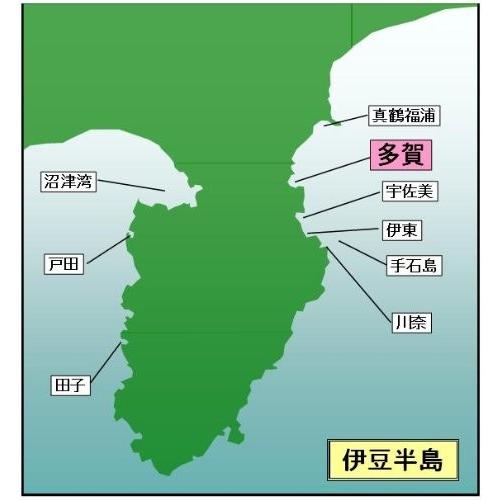 マイ海図 高精細印刷版パウチ加工無し  東伊豆多賀４枚組