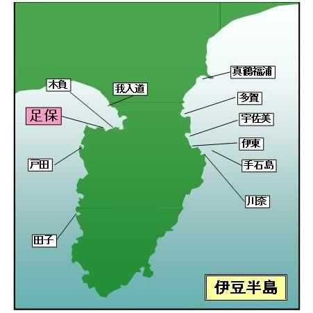 マイ海図 高精細印刷版パウチ加工無し 沼津湾古宇・足保３枚組
