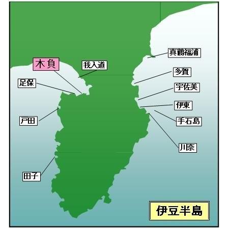 マイ海図 高精細印刷版パウチ加工無し 沼津湾木負１２枚組