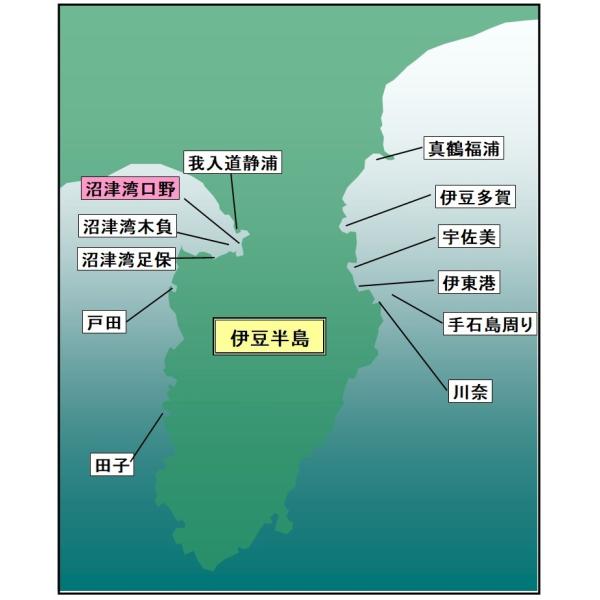 マイ海図 高精細印刷版パウチ加工無し 沼津湾口野４枚組