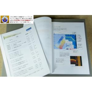 リーフマスター(バージョン2.0準拠)日本語版詳...の商品画像