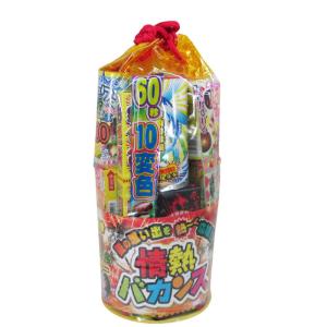 花火セット 稲垣屋 バラエティセット 情熱バカンス NO.50/9504/送料無料｜kawanetjigyoubu