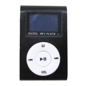 Apple MB257J 8GB iPod nano 第3世代　A1236 iPod nano アップルストア限定 Apple 第3世代（8GB）プロダクト