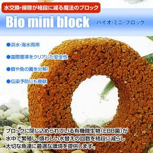 バイオミニブロック（バイオ・ミニ・ブロック）水槽の水質浄化にｘ１個/送料無料｜kawanetjigyoubu