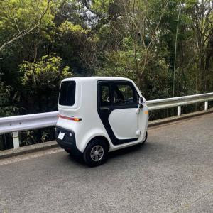 NEV-TUKTUK 颯-SOU 電動トゥクト...の詳細画像3