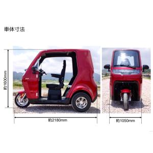 NEV-TUKTUK 颯-SOU 電動トゥクト...の詳細画像5
