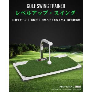 ゴルフ 練習 器具 マット スイング トレーナ...の詳細画像5