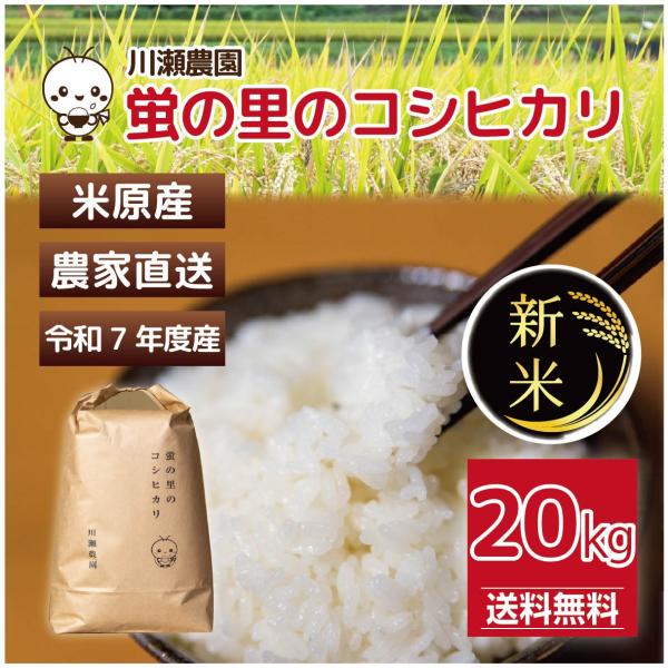 蛍の里のコシヒカリ 20kg (10kg×2) 令和５年産 １等米 滋賀県産 農家直送 送料無料