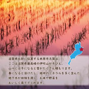 【蛍の里のコシヒカリ】30kg(10kg×3)...の詳細画像1