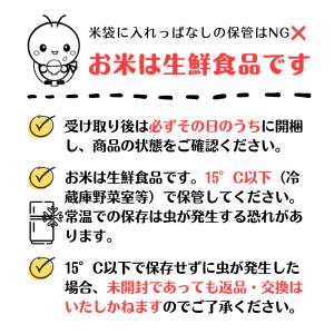 【蛍の里のコシヒカリ】30kg(10kg×3)...の詳細画像4