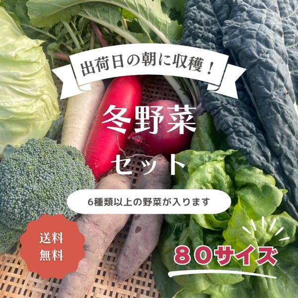 とれたて冬野菜セット　6種類以上　80サイズ　滋賀県産 農家直送 送料無料