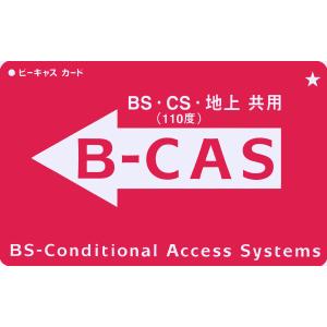 B-CASカード I-O DATA 地上デジタルチューナー用