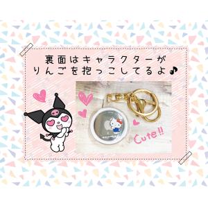 エアタグ ケース サンリオ AirTag エア...の詳細画像5