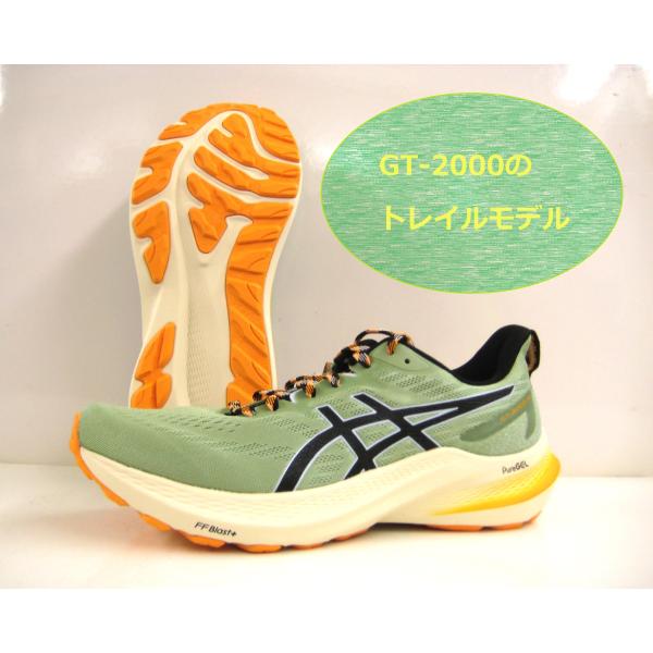 アシックス asics GT-2000 12 TR  1011b775 （250）