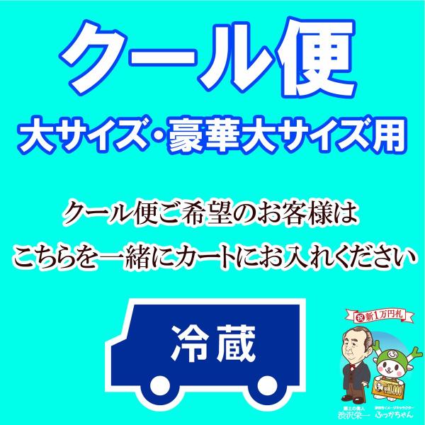 大サイズ・豪華大サイズ用 クール便 商品と一緒にカートにお入れください 高さ約48cm幅約30cm奥...