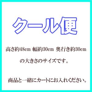 大サイズ・豪華大サイズ用 クール便 商品と一緒...の詳細画像1