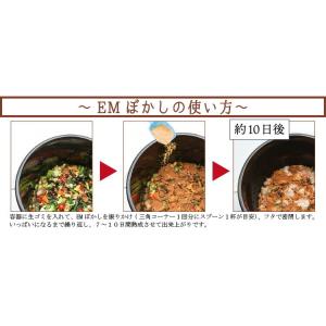 カワタキ EMワーカー 1個入り 生活モノ語り...の詳細画像2