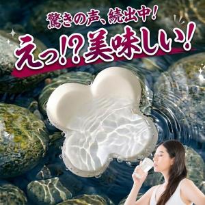 浄水器 水道水 浄水 塩素除去 飲料水 入れるだけで簡単 水質改善 おいしい水 カルキ抜き カルキ臭 ろ過 浄水ポット セラミック 1個入 半永久 日本製 送料無料