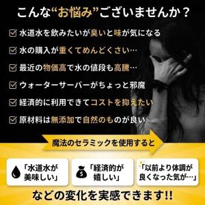 浄水器 水道水 浄水 塩素除去 飲料水 入れる...の詳細画像1