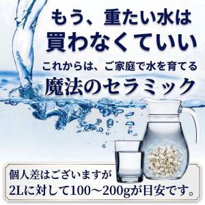 浄水器 浄水ポット ポット型浄水器 水道水 入...の詳細画像2