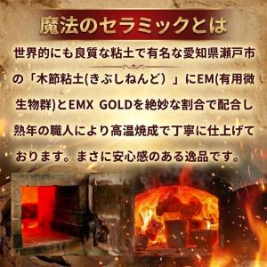浄水 浄水器 塩素除去 カルキ抜き 水道水 飲...の詳細画像3