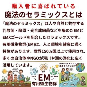 浄水 浄水器 塩素除去 カルキ抜き 水道水 飲...の詳細画像4