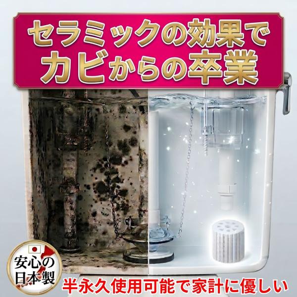 トイレ タンク 洗浄剤 カビ防止 置くだけ 入れるだけ 洗剤 掃除 トイレ用 クリーナー 黒ずみ カ...