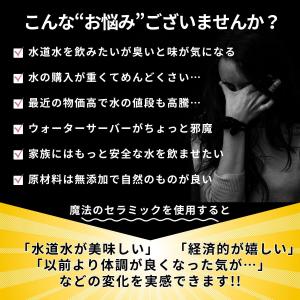 浄水器 水道水 浄水 塩素除去 飲料水 入れる...の詳細画像1