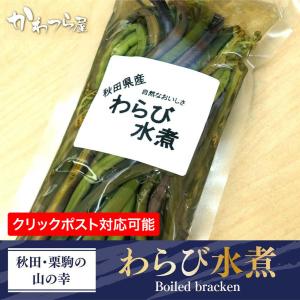わらび水煮　天然ワラビ　独特の粘りと食感　ご家庭で簡単調理　おひたし・漬物・味噌汁に！