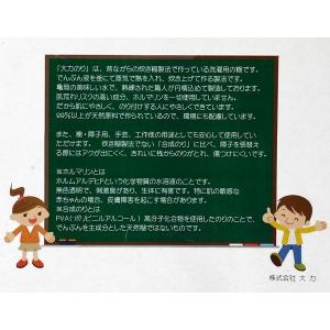 洗濯のり 大力のり 250gの詳細画像5