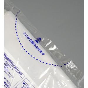 10Lポリ袋 ハイパーメタ 透明 45×50c...の詳細画像2