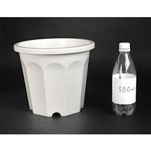 植木鉢 10角 白 8号(直径24.5×高さ2...の詳細画像1