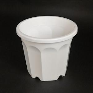 植木鉢 10角 白 8号(直径24.5×高さ2...の詳細画像2