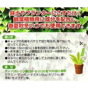 活力剤 8P (観葉植物用) (100円ショッ...の詳細画像4