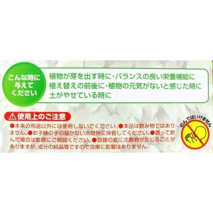 活力剤 8P (観葉植物用) (100円ショッ...の詳細画像5