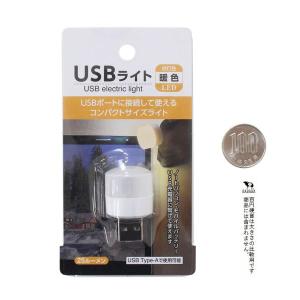 USBライト 25ルーメン [種類指定不可] ...の詳細画像3