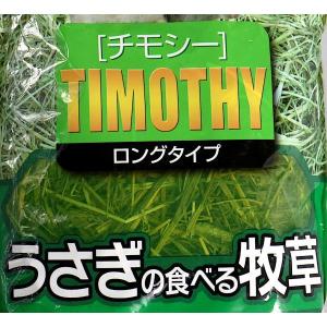 うさぎの食べる牧草 チモシー ロングタイプ 2...の詳細画像5