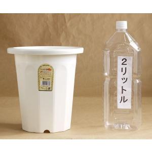 植木鉢 ケンガイ鉢 7号(直径21.3×高さ2...の詳細画像1